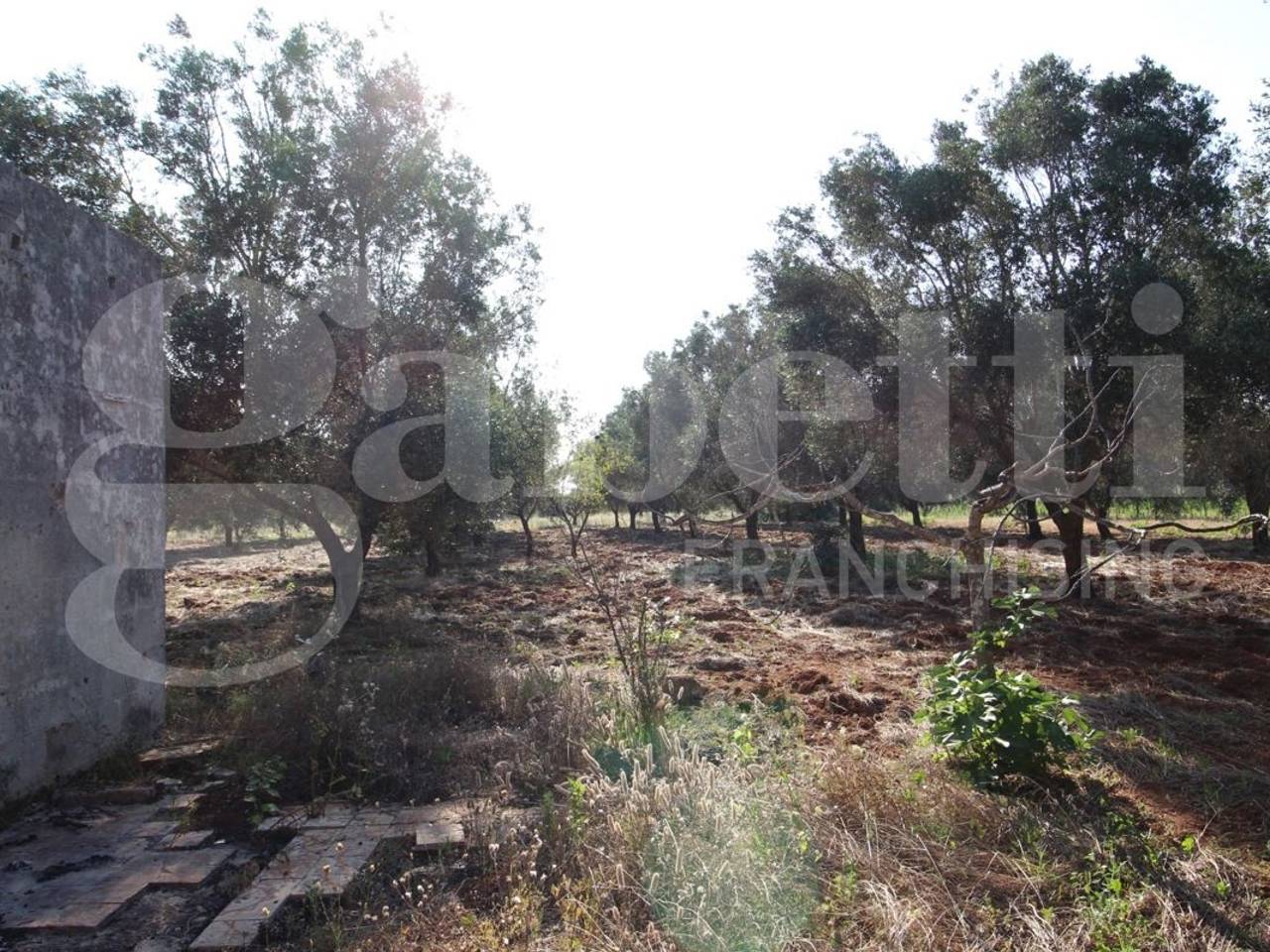 immagine annuncio 7 di 8