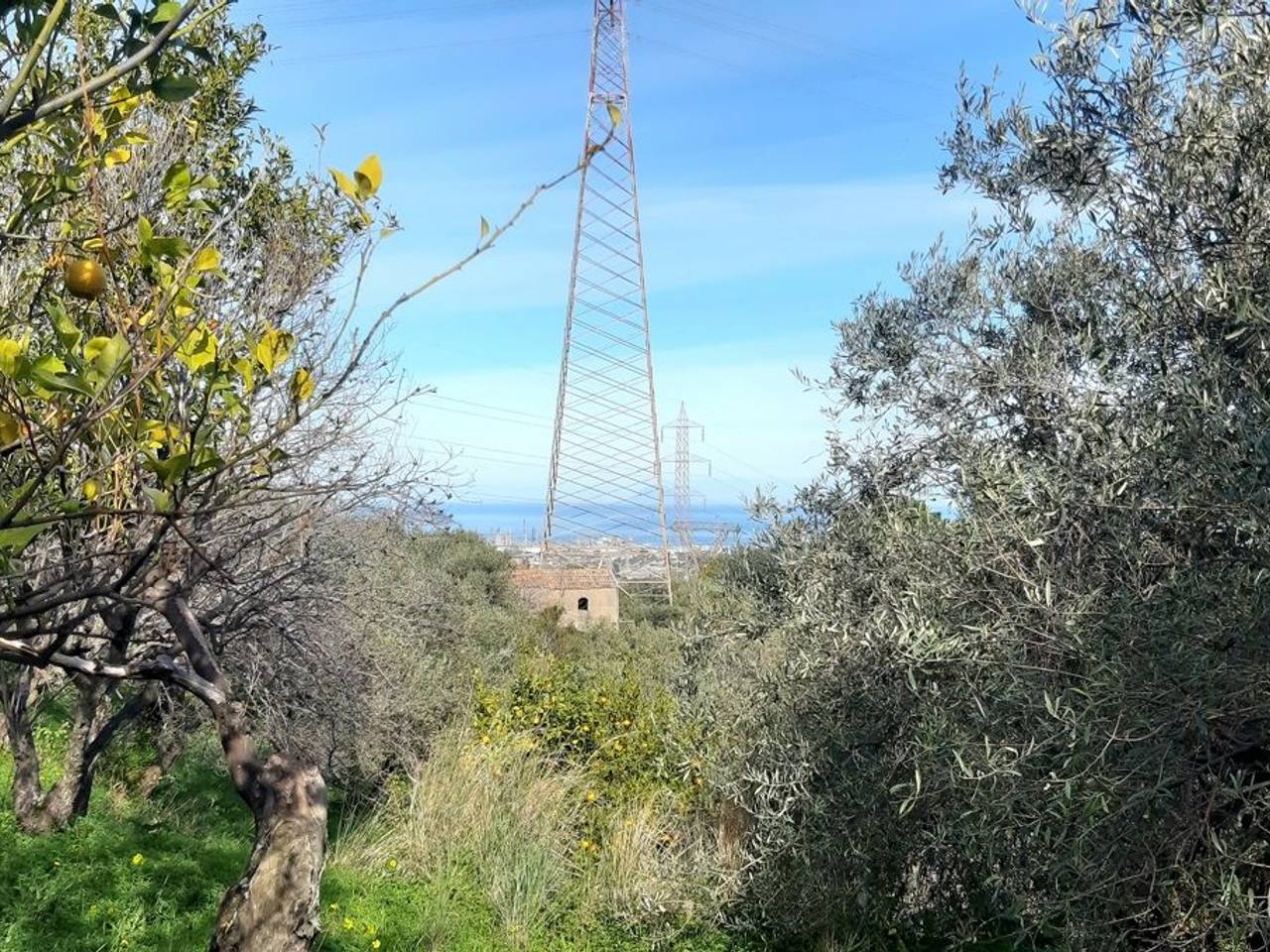 immagine annuncio 6 di 8