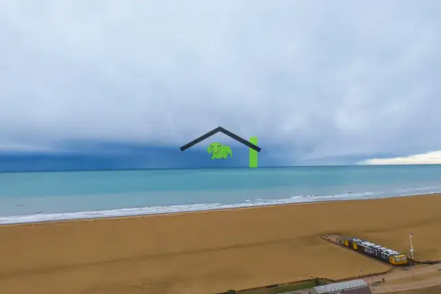 insertion image