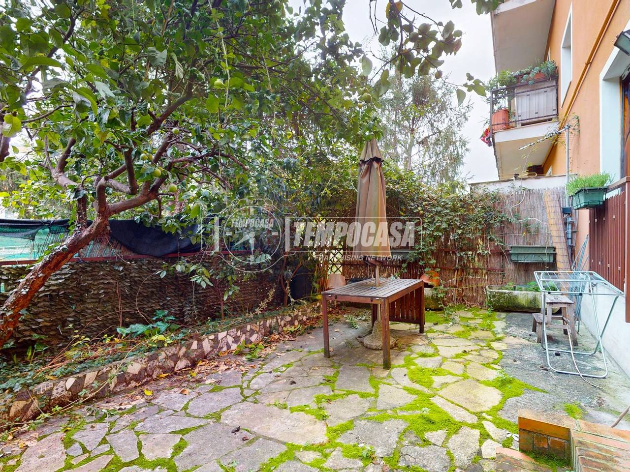 immagine annuncio 12 di 14