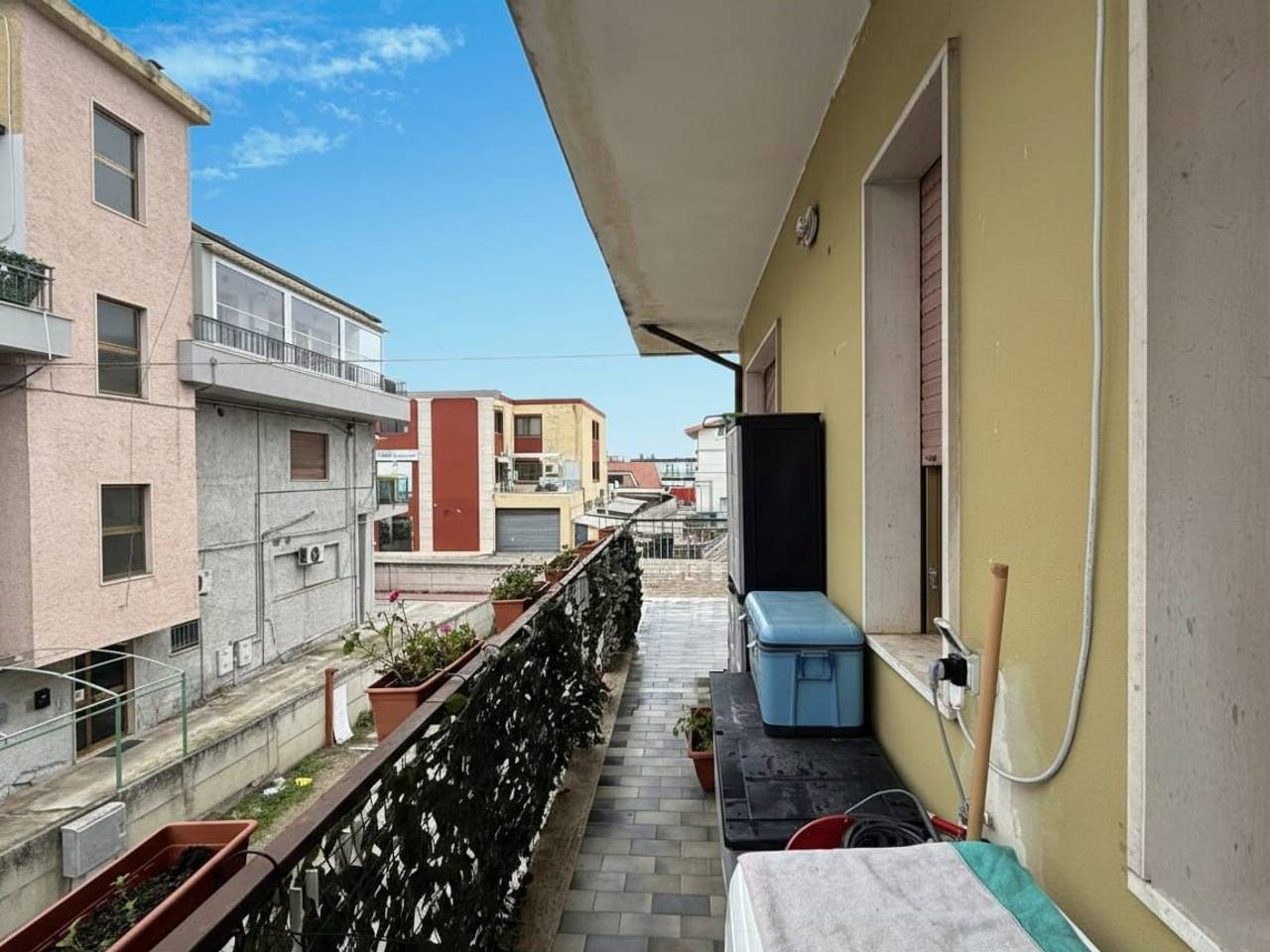 immagine annuncio 12 di 14