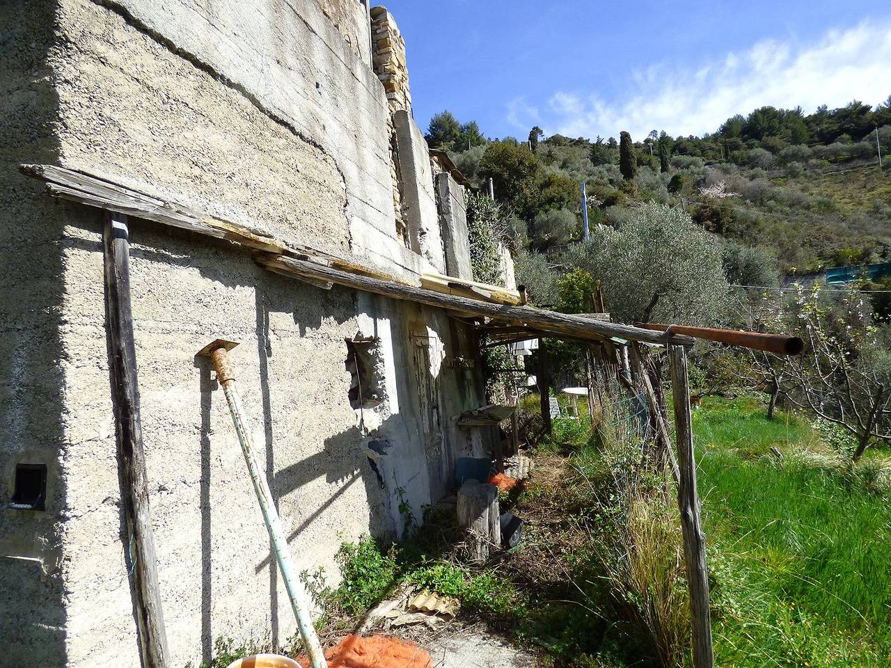 immagine annuncio 4 di 9