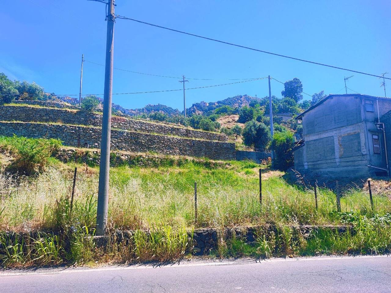 immagine annuncio 4 di 7