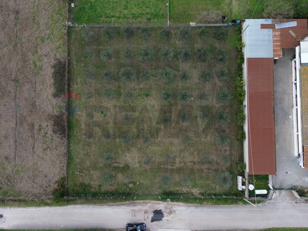 immagine annuncio 4 di 7