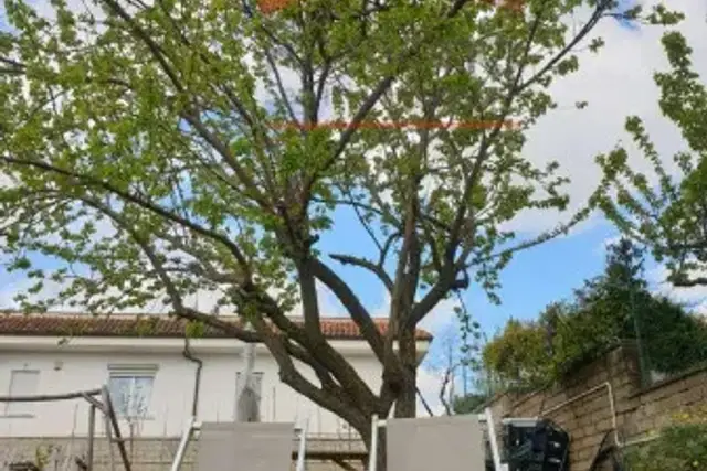 insertion image