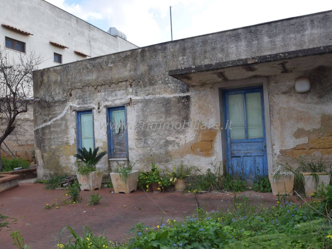 immagine annuncio 4 di 12