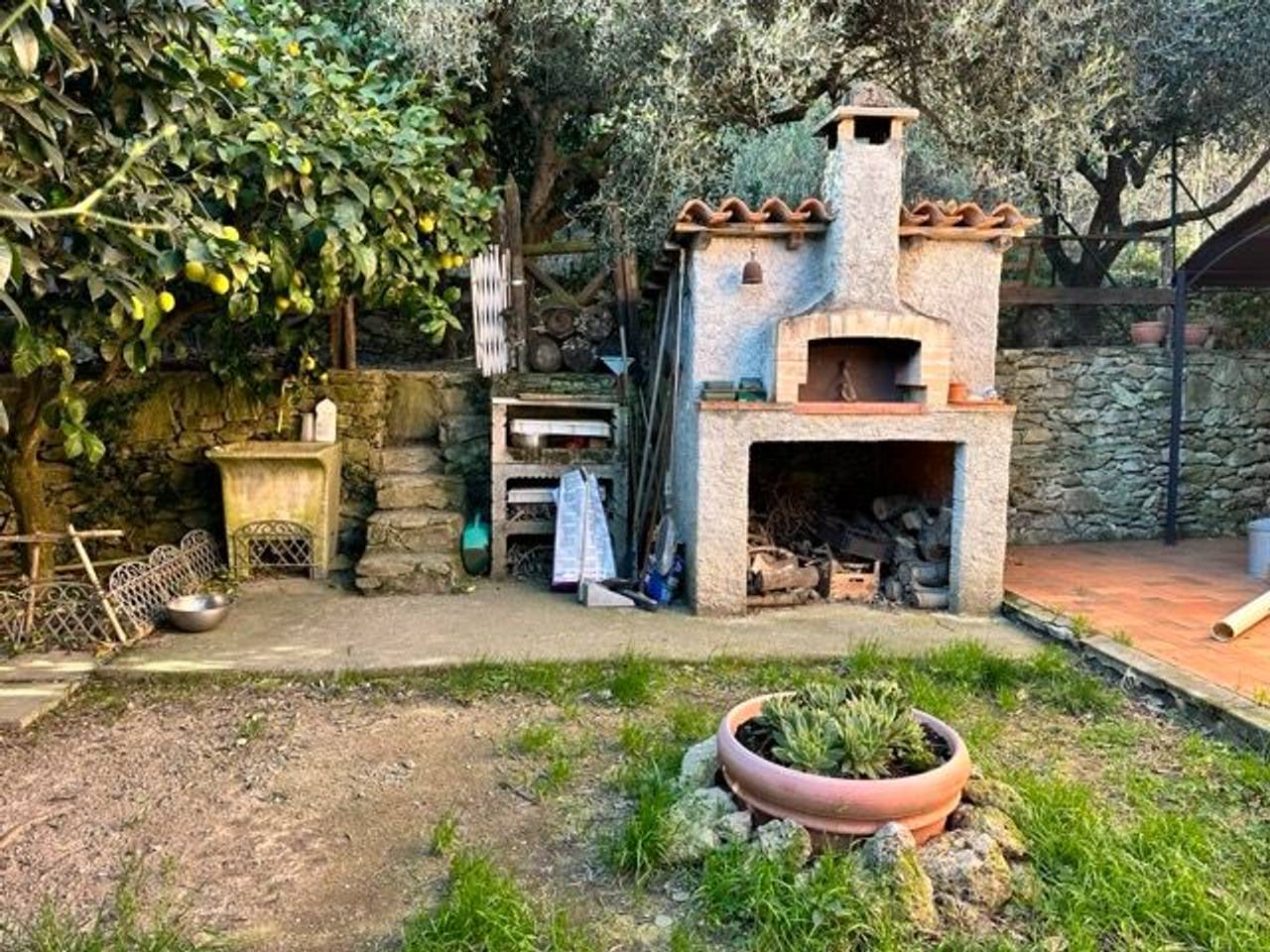 immagine annuncio 12 di 15