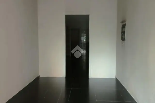 insertion image