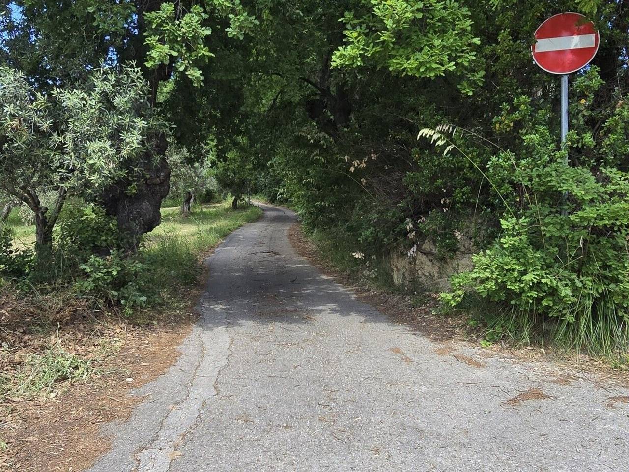 immagine annuncio 12 di 14