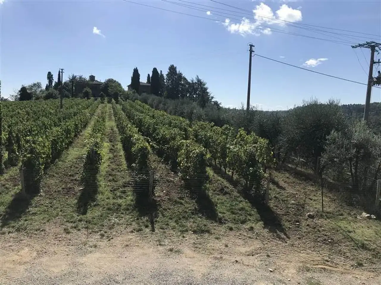 Azienda agricola in , Gaiole In Chianti, {3} - Foto 2