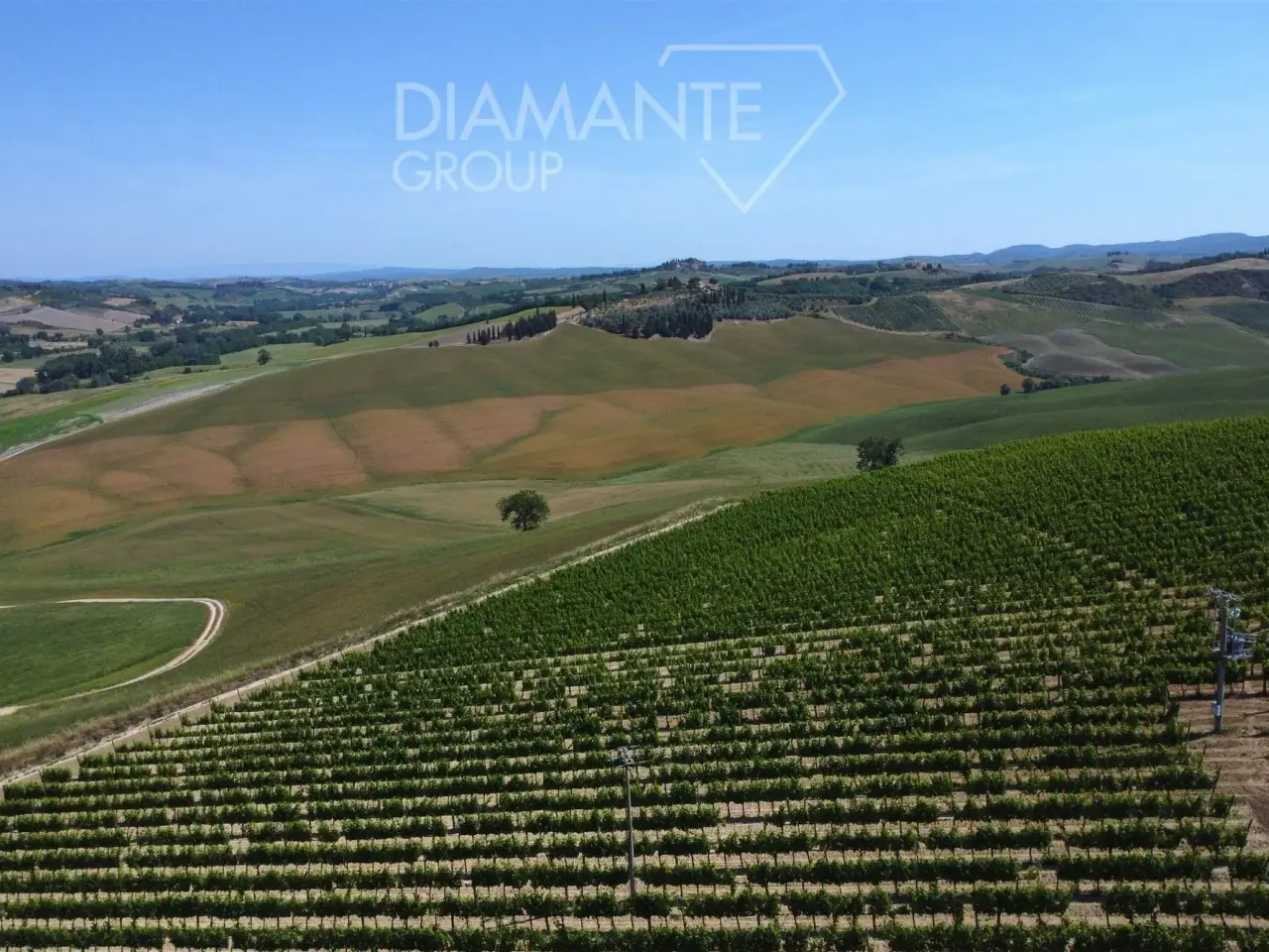 Azienda agricola in , Montalcino, {3} - Foto 1