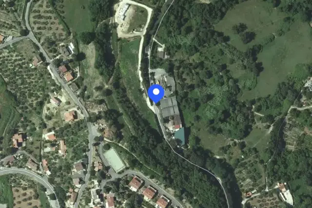 insertion image