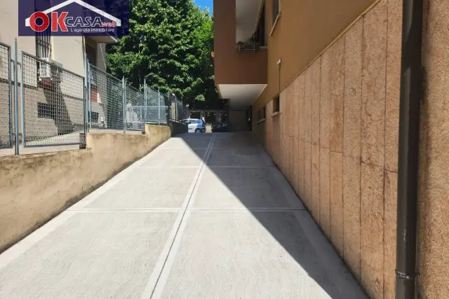 insertion image