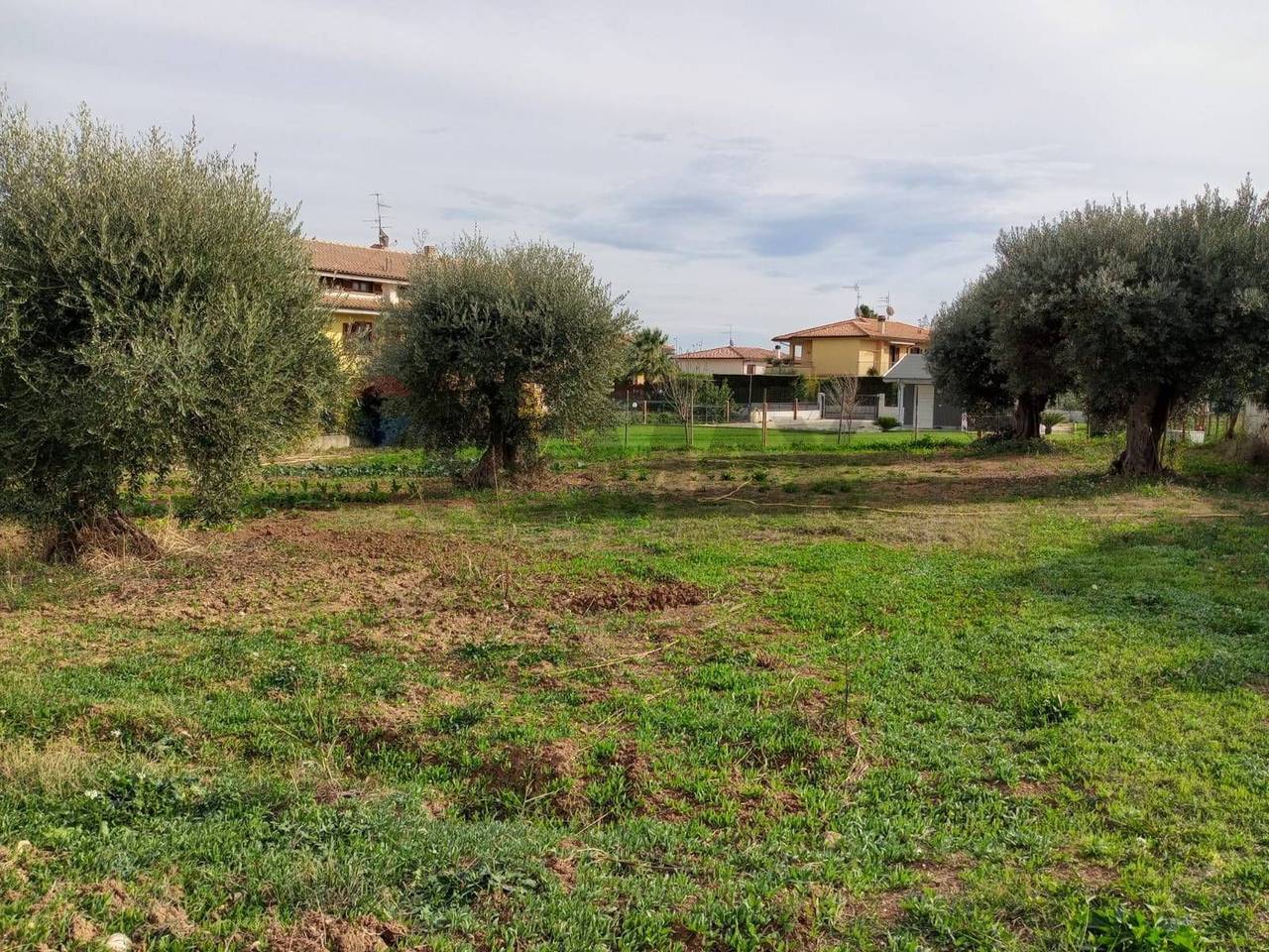 immagine annuncio 4 di 7