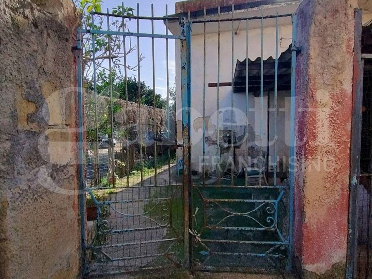 immagine annuncio 1 di 14