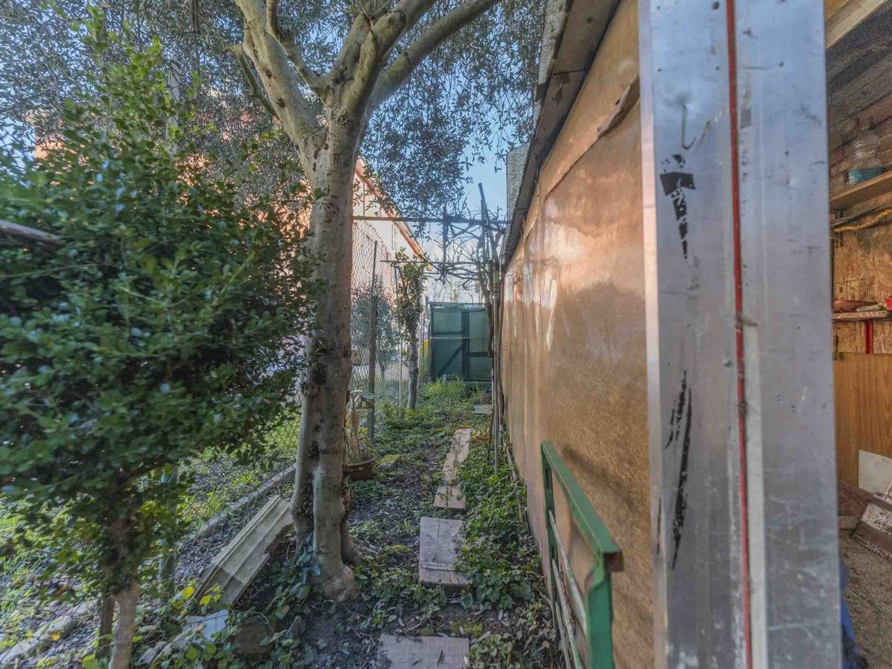 immagine annuncio 5 di 11