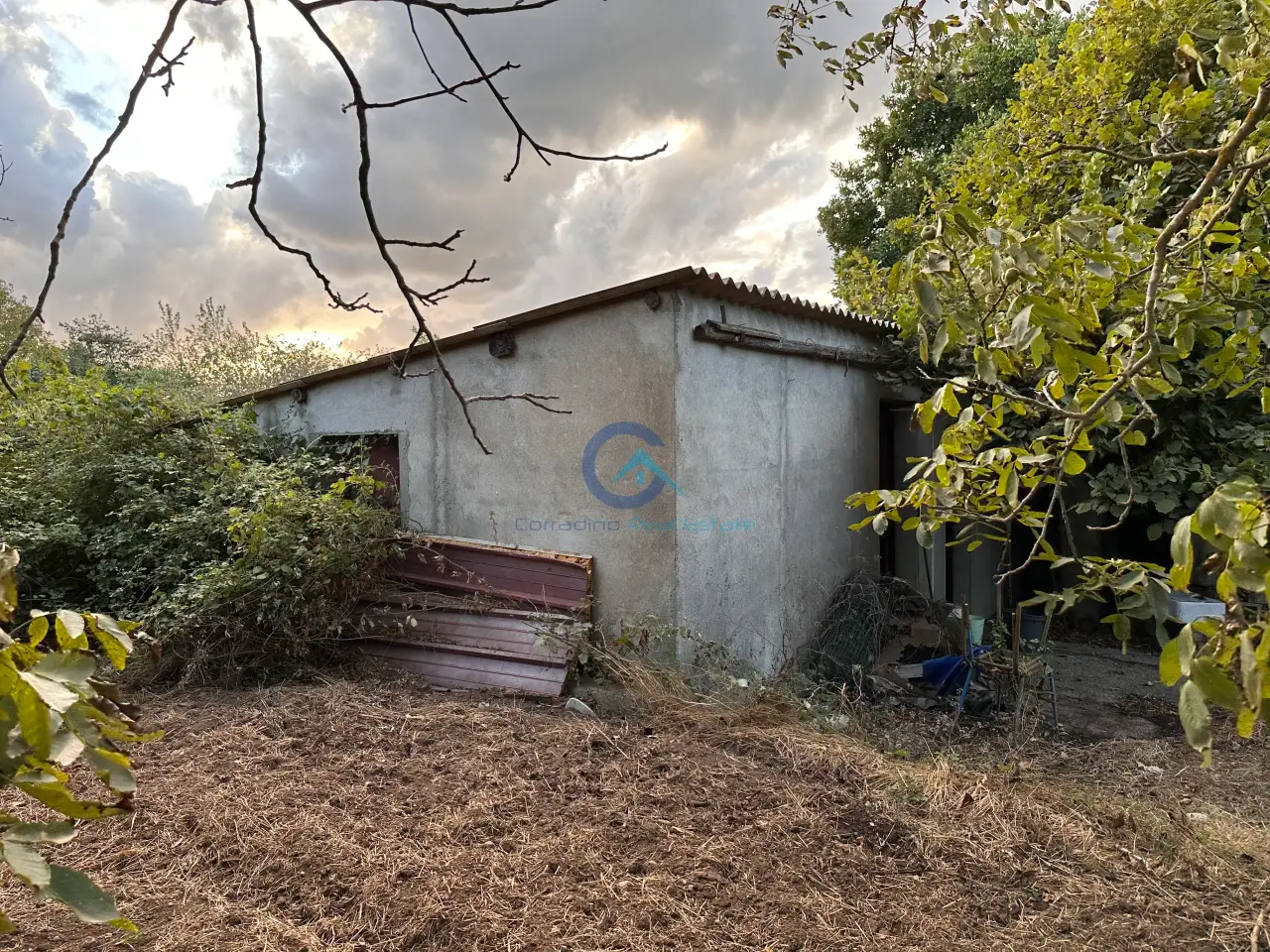 Magazzino in Via San Fantino, Borgia, {3} - Foto 2