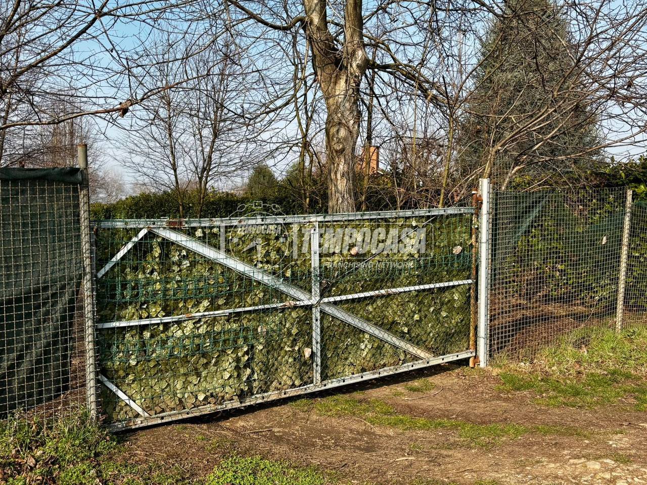 immagine annuncio 9 di 12