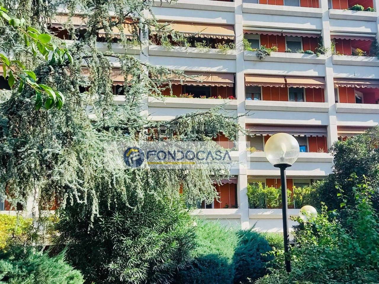 immagine annuncio 9 di 14