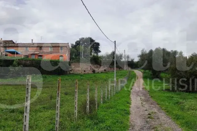 insertion image