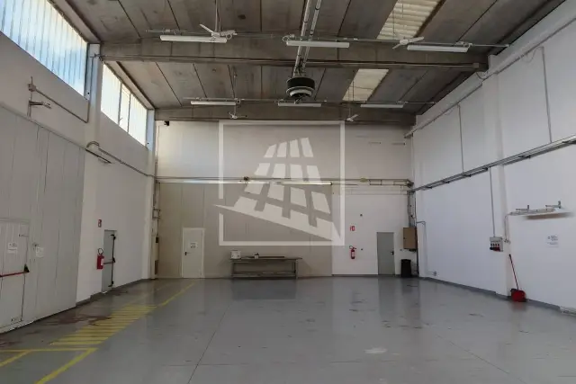 insertion image