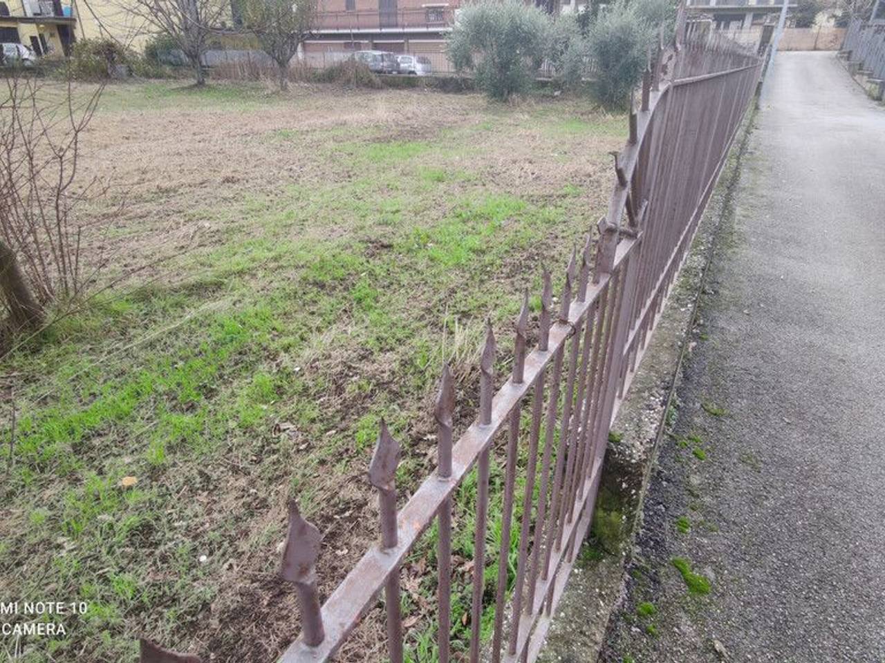 immagine annuncio 6 di 10