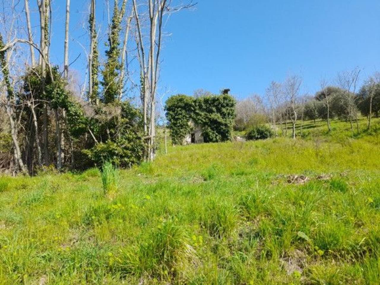 immagine annuncio 8 di 13