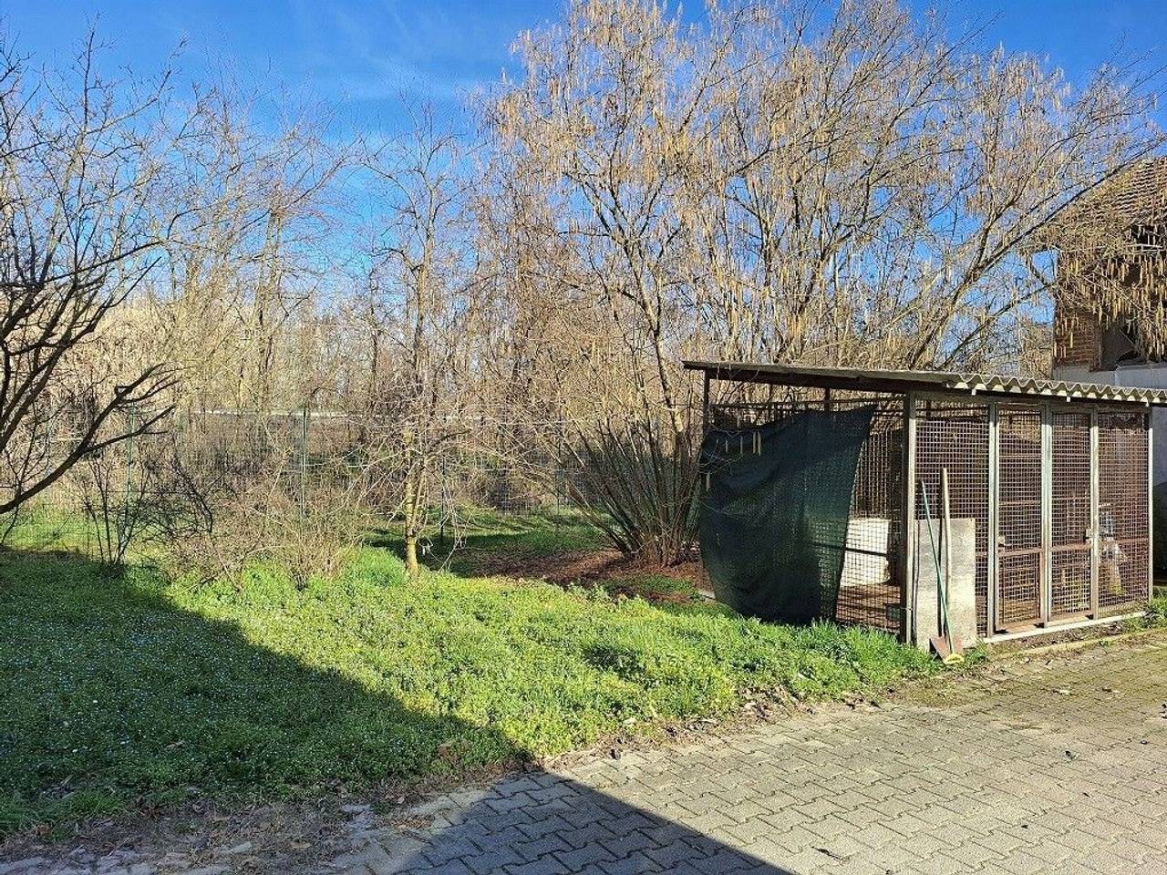 immagine annuncio 4 di 15