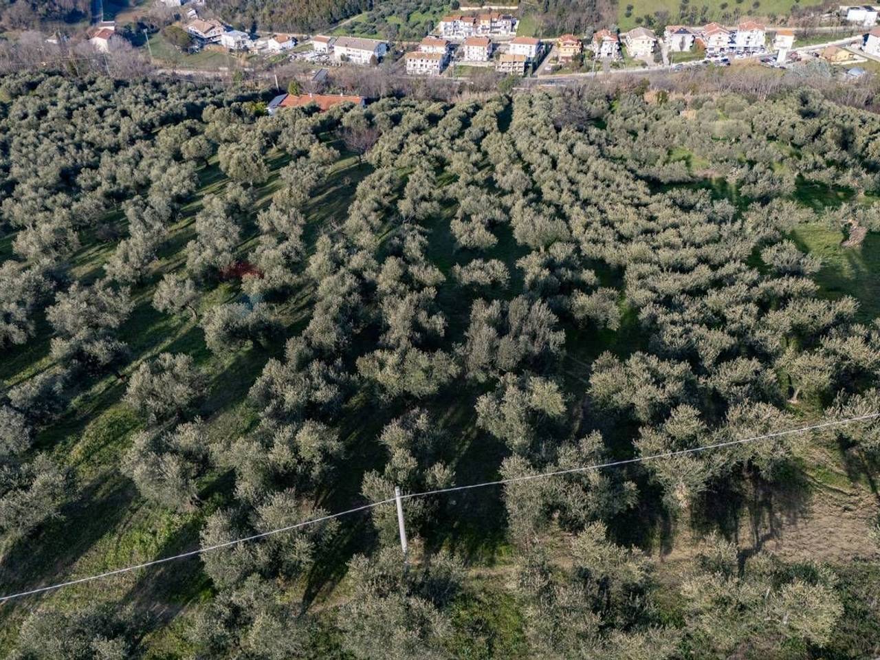 immagine annuncio 5 di 8