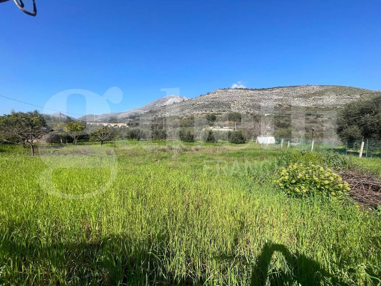 immagine annuncio 7 di 13