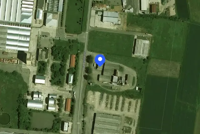 insertion image