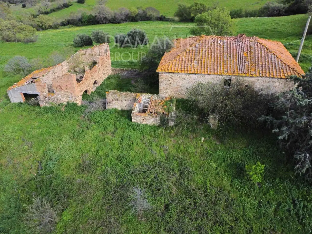 Azienda agricola in , Roccalbegna, {3} - Foto 2