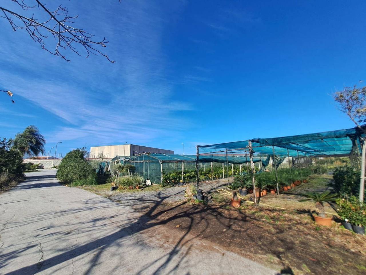 immagine annuncio 6 di 7