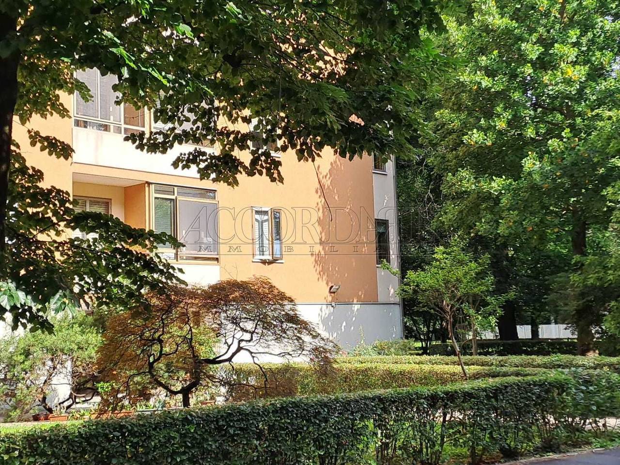 immagine annuncio 5 di 14
