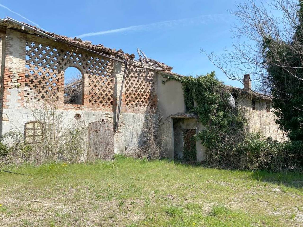 immagine annuncio 3 di 11