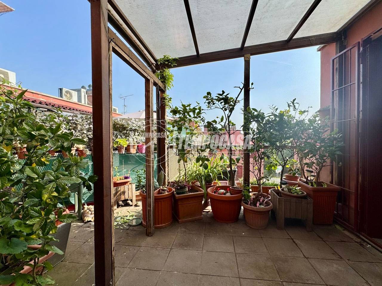 immagine annuncio 6 di 13