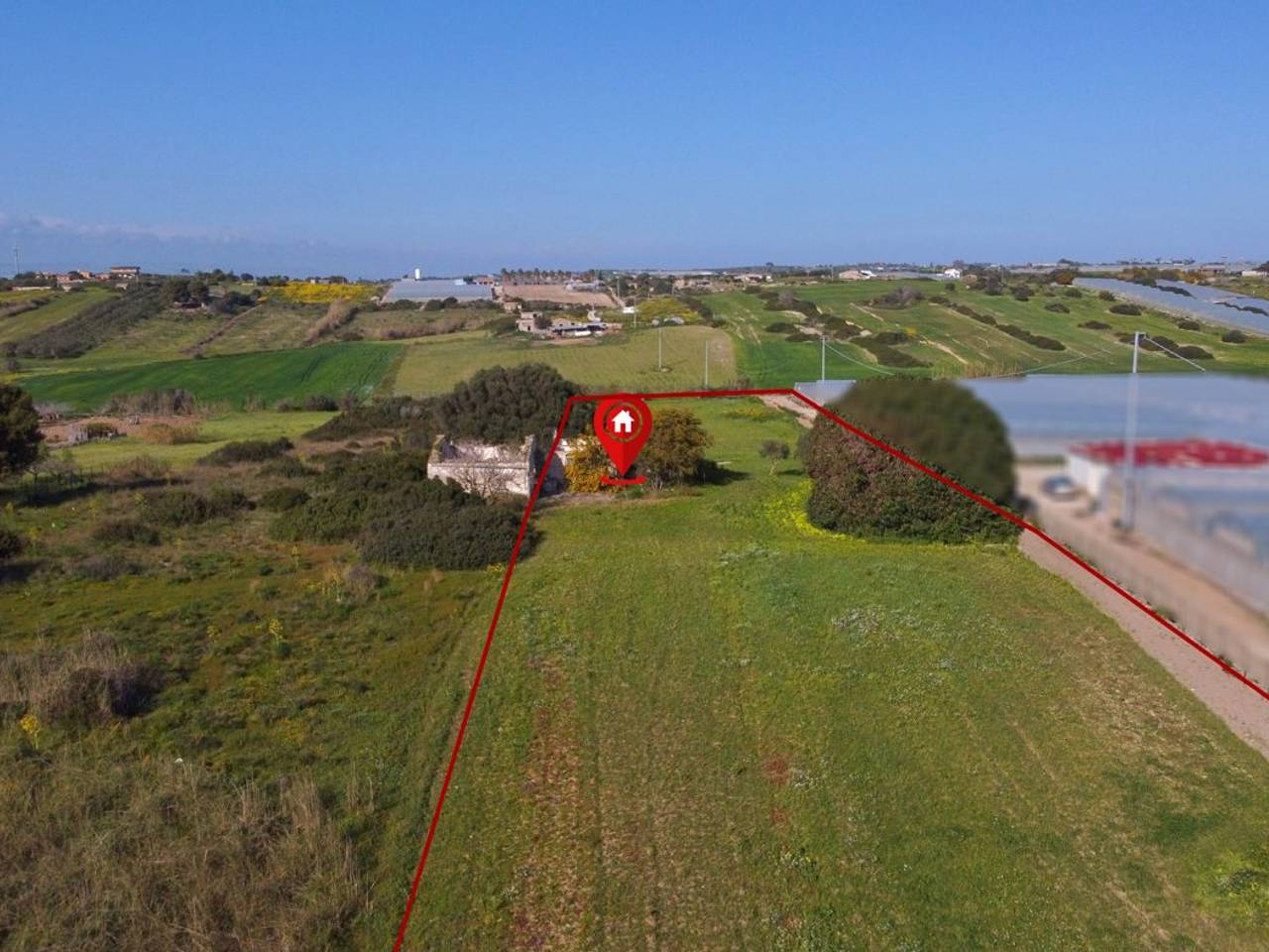 immagine annuncio 11 di 13