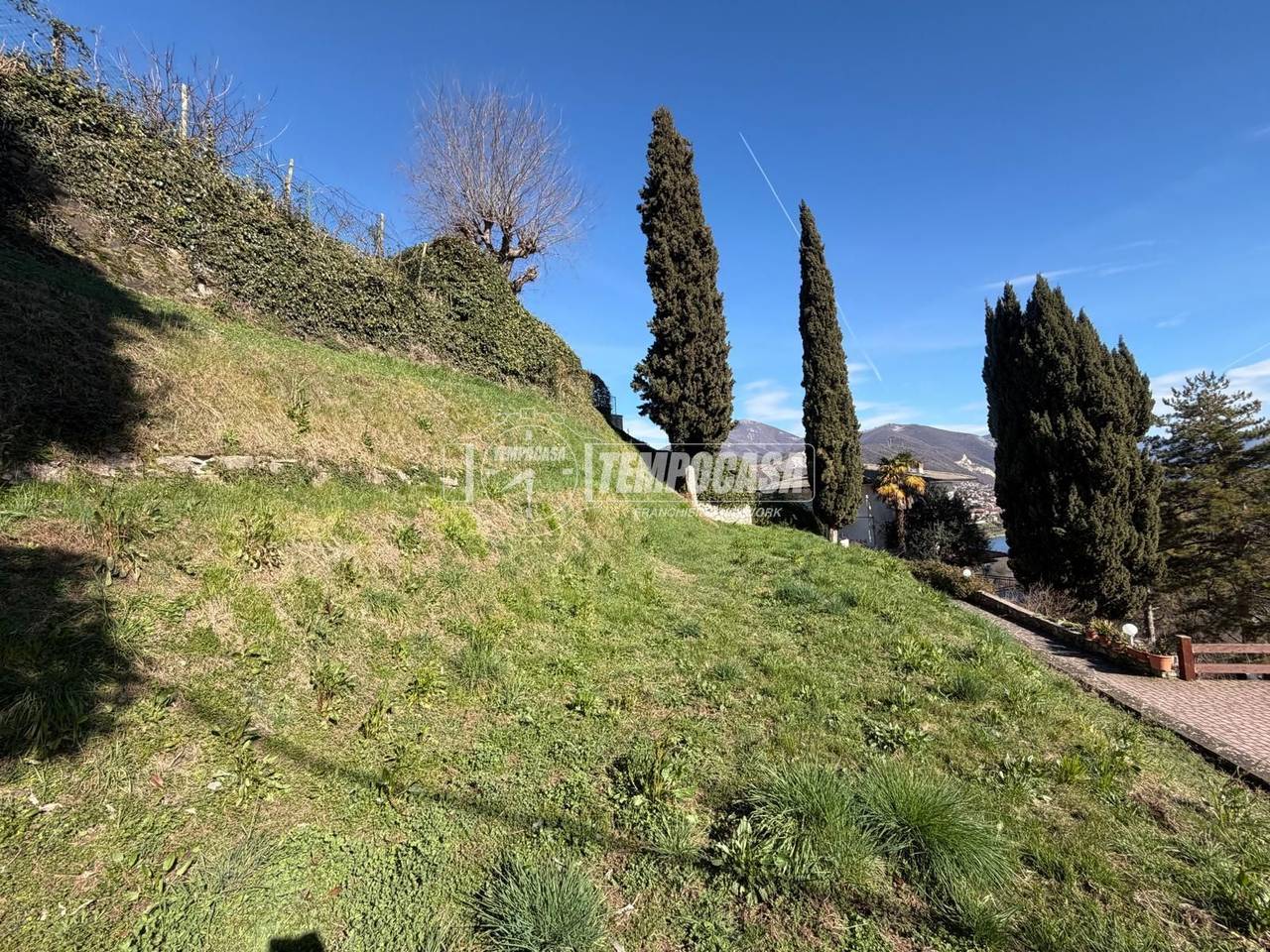 immagine annuncio 4 di 6