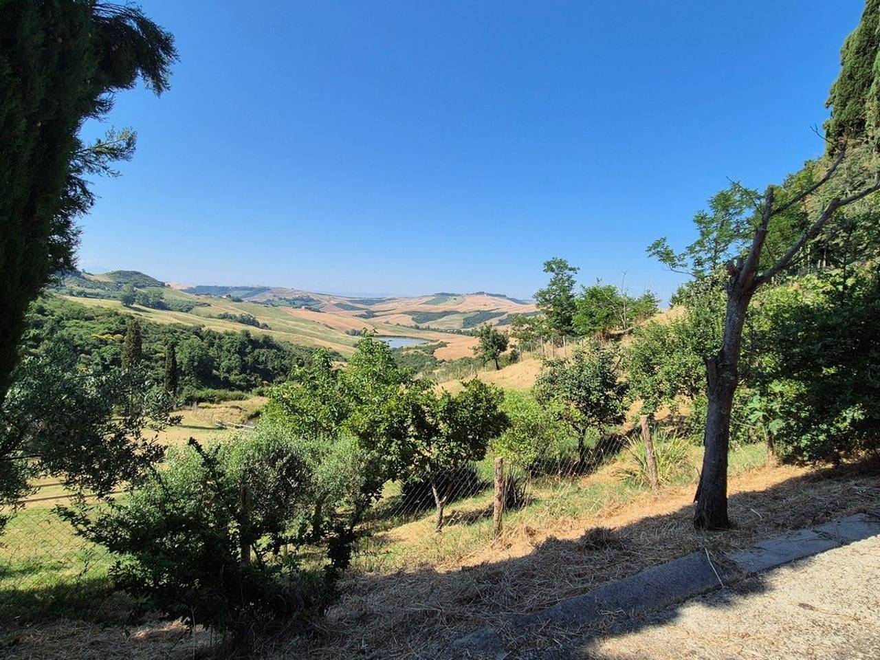 immagine annuncio 10 di 14