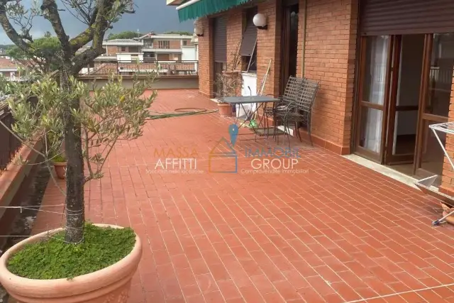 insertion image
