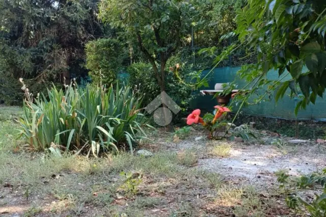 insertion image