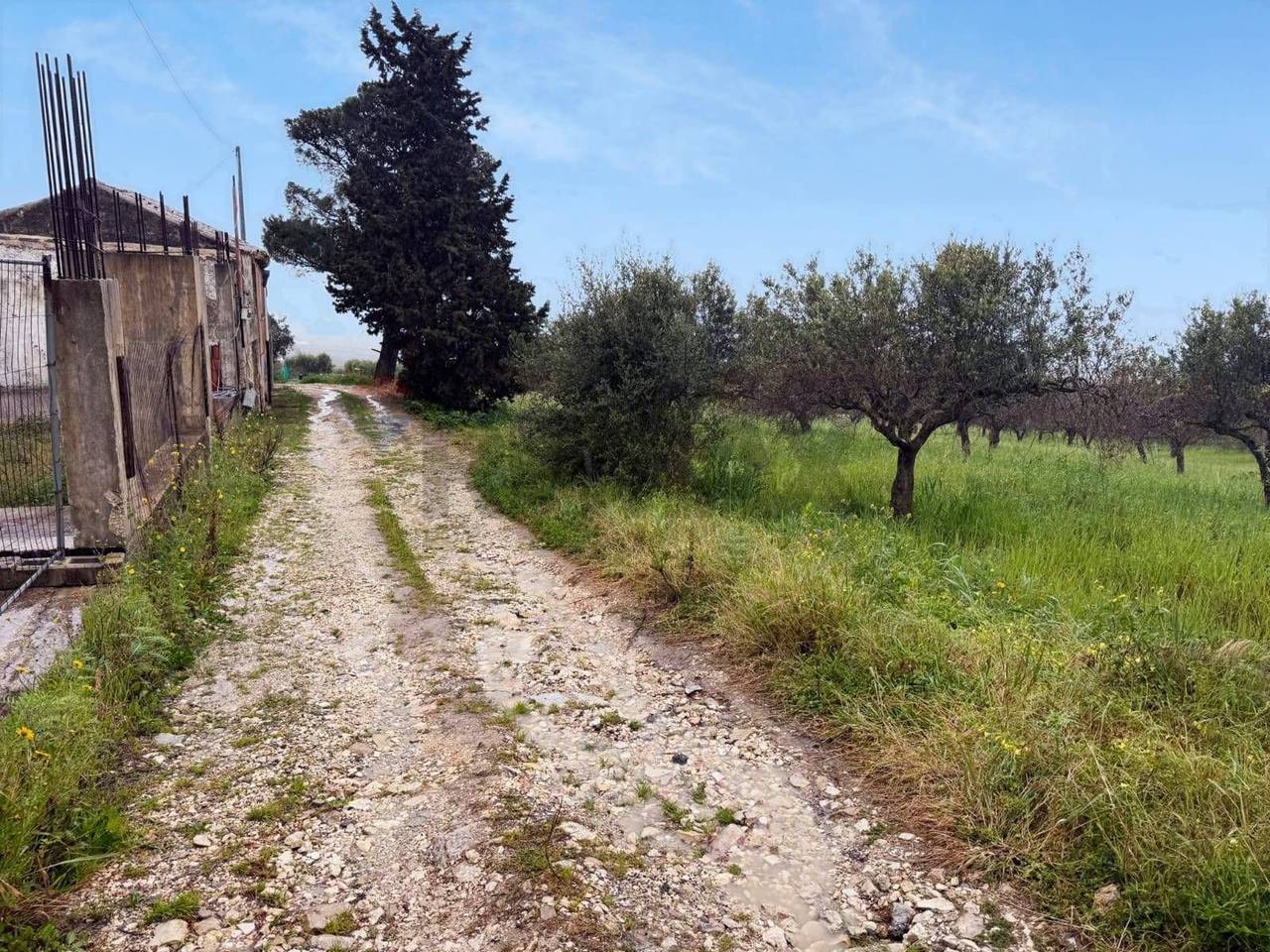 immagine annuncio 3 di 13