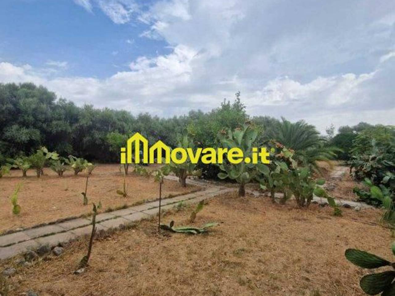 immagine annuncio 12 di 13