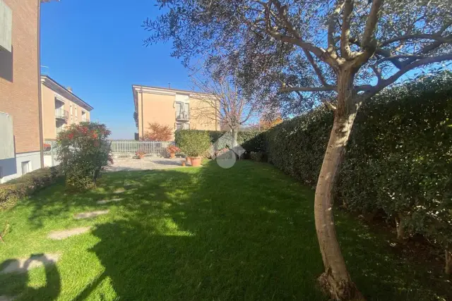 insertion image