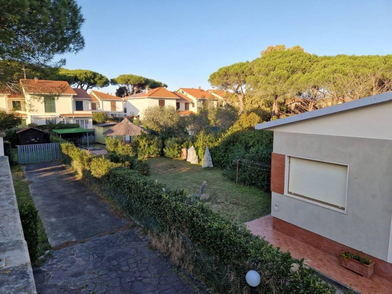 immagine annuncio 12 di 14