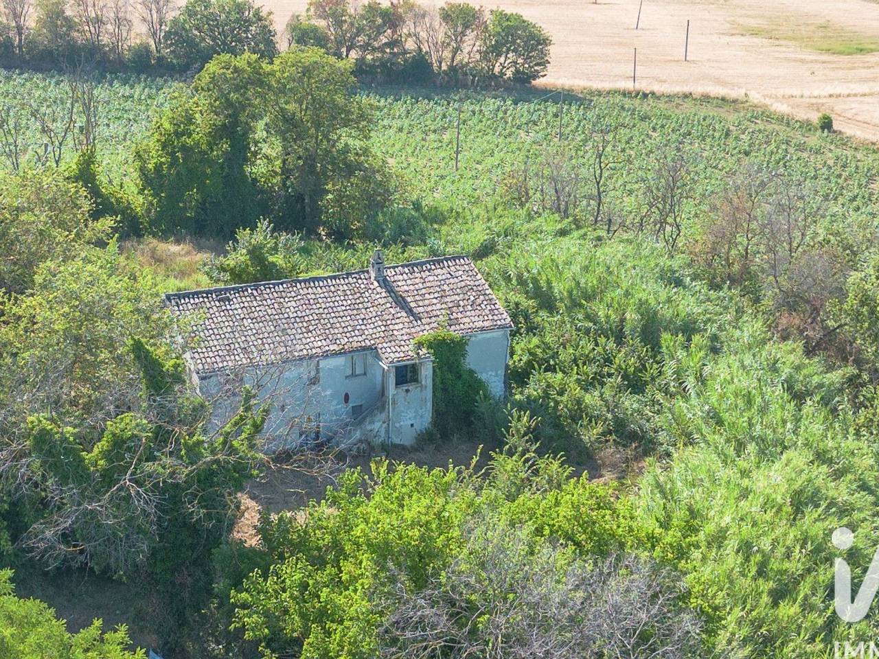 immagine annuncio 11 di 14