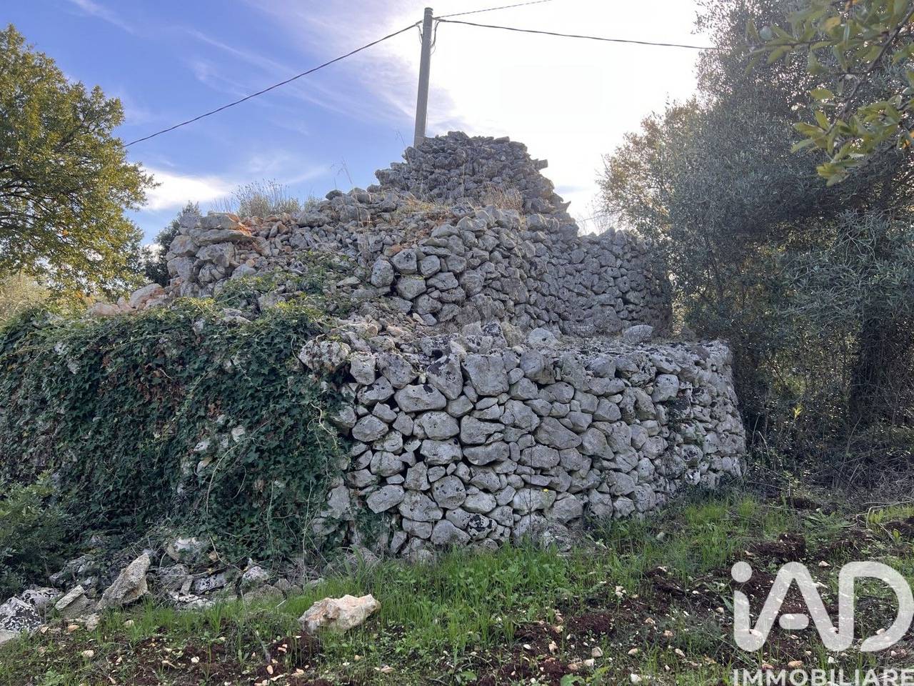 immagine annuncio 5 di 13