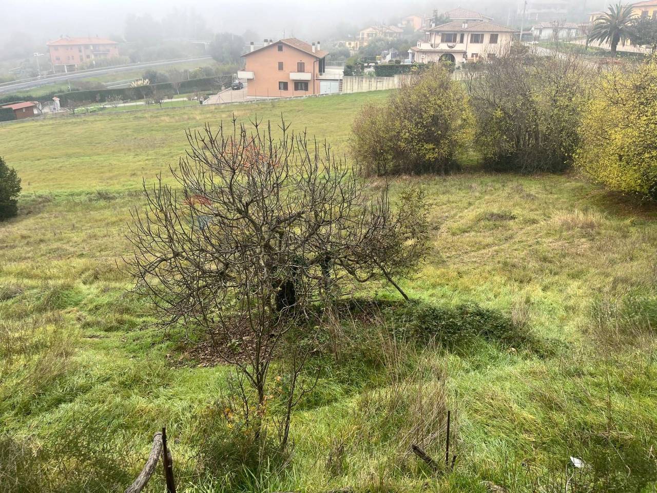 immagine annuncio 6 di 7