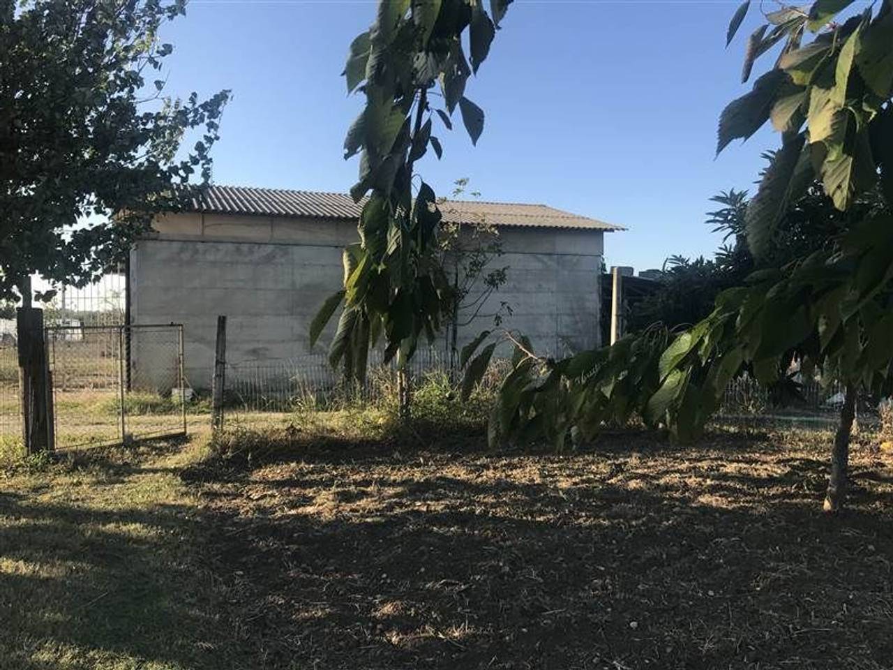 immagine annuncio 5 di 6