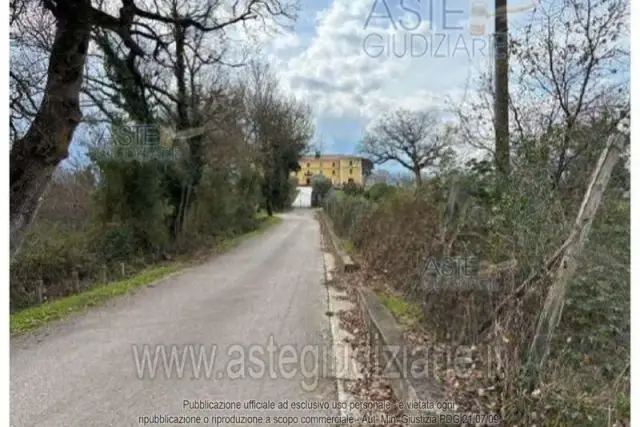 insertion image